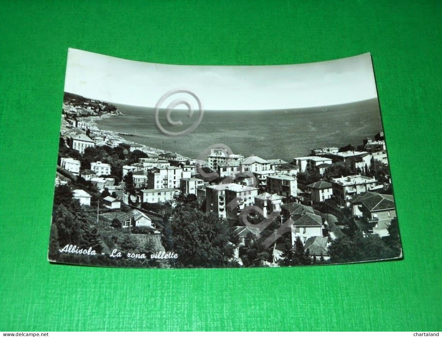 Cartolina Albisola - La zona villette 1962