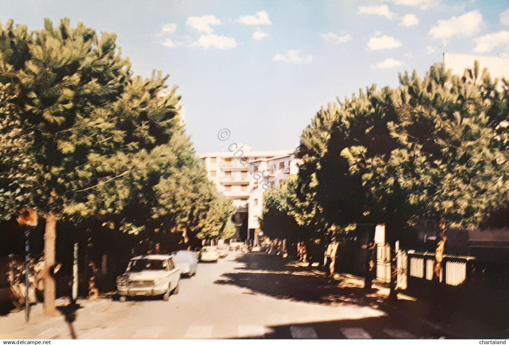 Cartolina - Albissola Marina - Viale Liguria - 1970 ca.