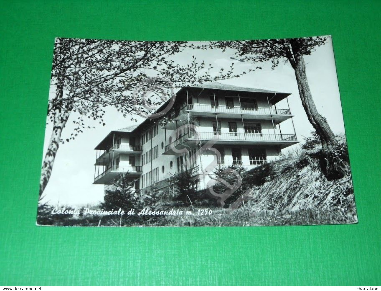 Cartolina Alessandria - Colonia Provinciale di Alessandria 1960 ca