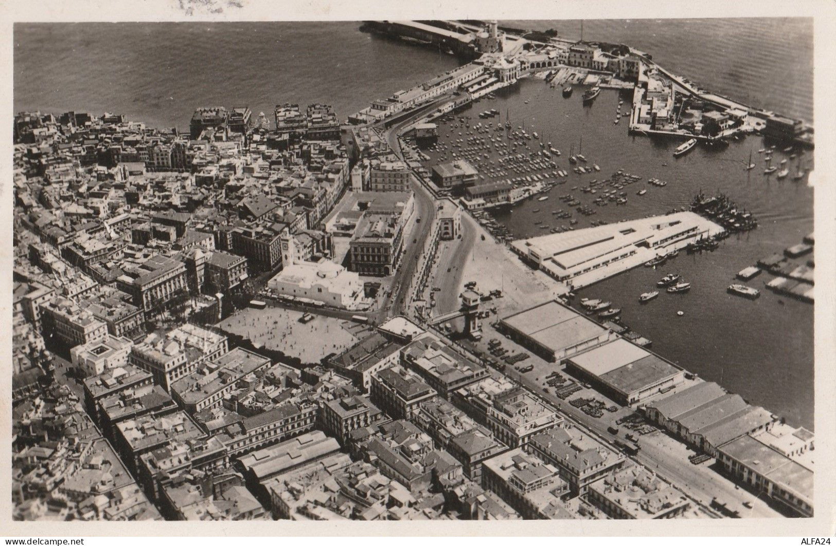 CARTOLINA ALGER ALGERIA (V_3623