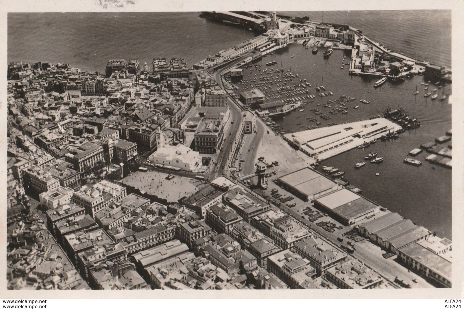 CARTOLINA ALGER ALGERIA (V_3623