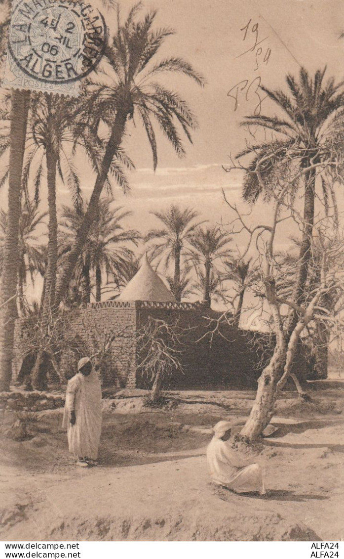 CARTOLINA ALGERIA (V_3619