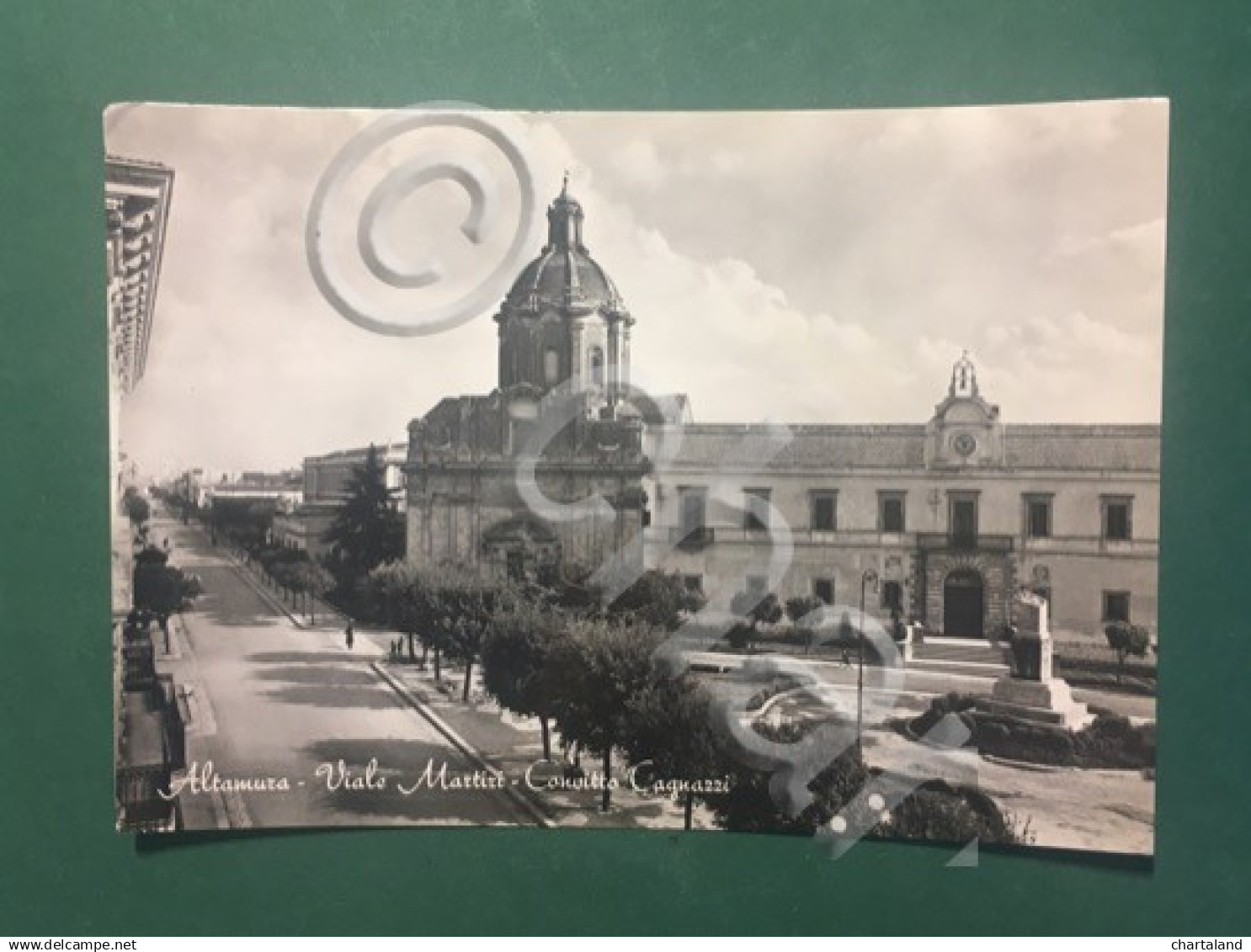 Cartolina Altamura - Viale Martiri - Convitto Cagnazzi - 1951