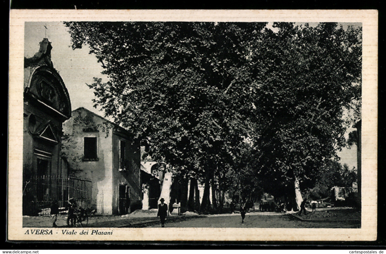 Cartolina Aversa, Viale dei Platani