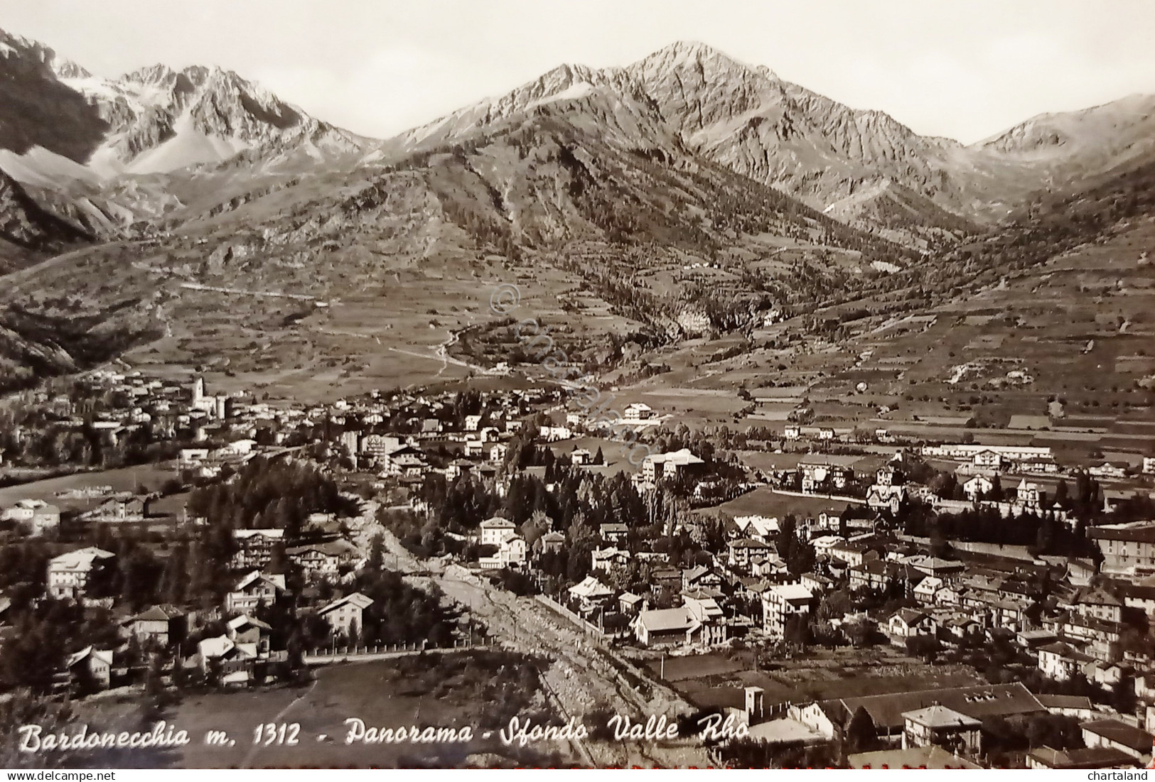 Cartolina - Bardonecchia - Panorama - Sfondo Valle Rho - 1956