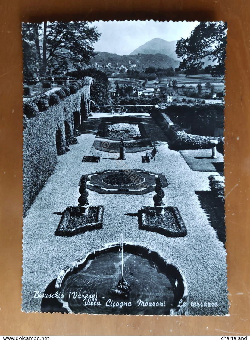 Cartolina Bisuschio (Varese) - Villa Cicogna Mozzoni - Le terrazze - 1950 ca.