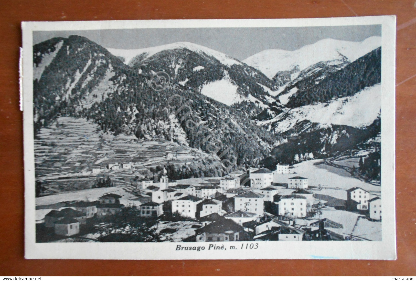 Cartolina Brusago Pinè (Trentino Alto Adige), m. 1103 - 1952