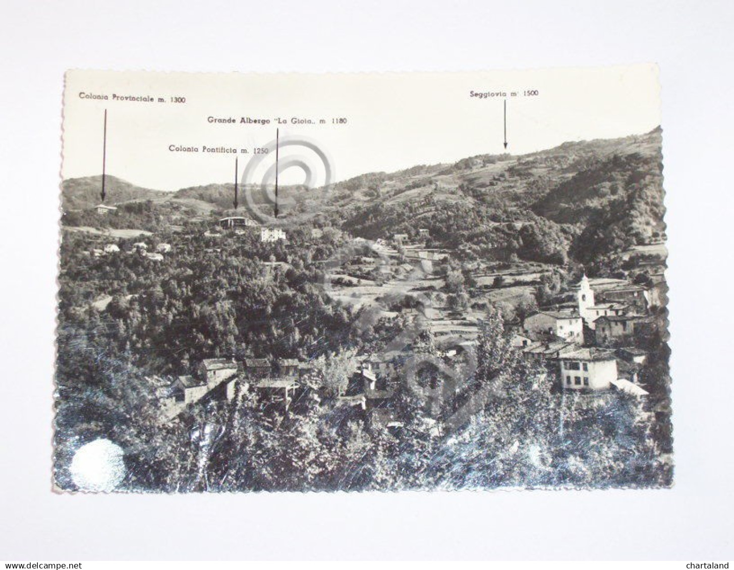 Cartolina Caldirola e Villette - Panorama 1955