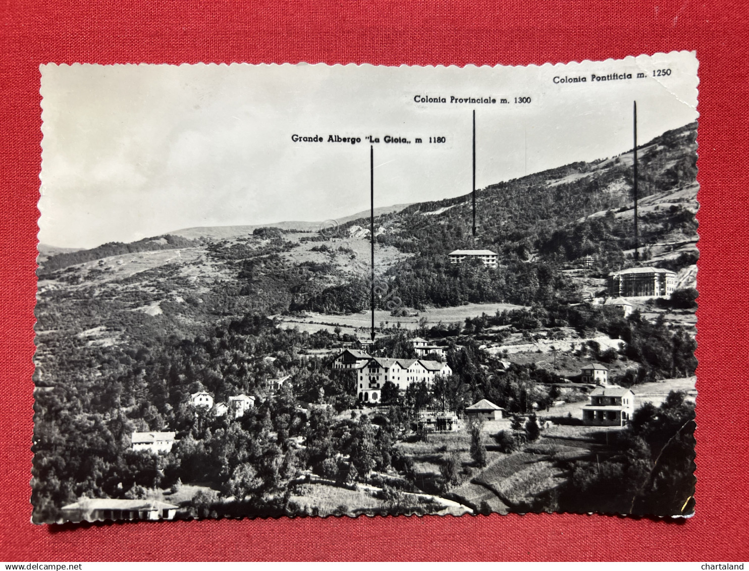 Cartolina - Caldirola e Villette - Stazione Climatica - 1961