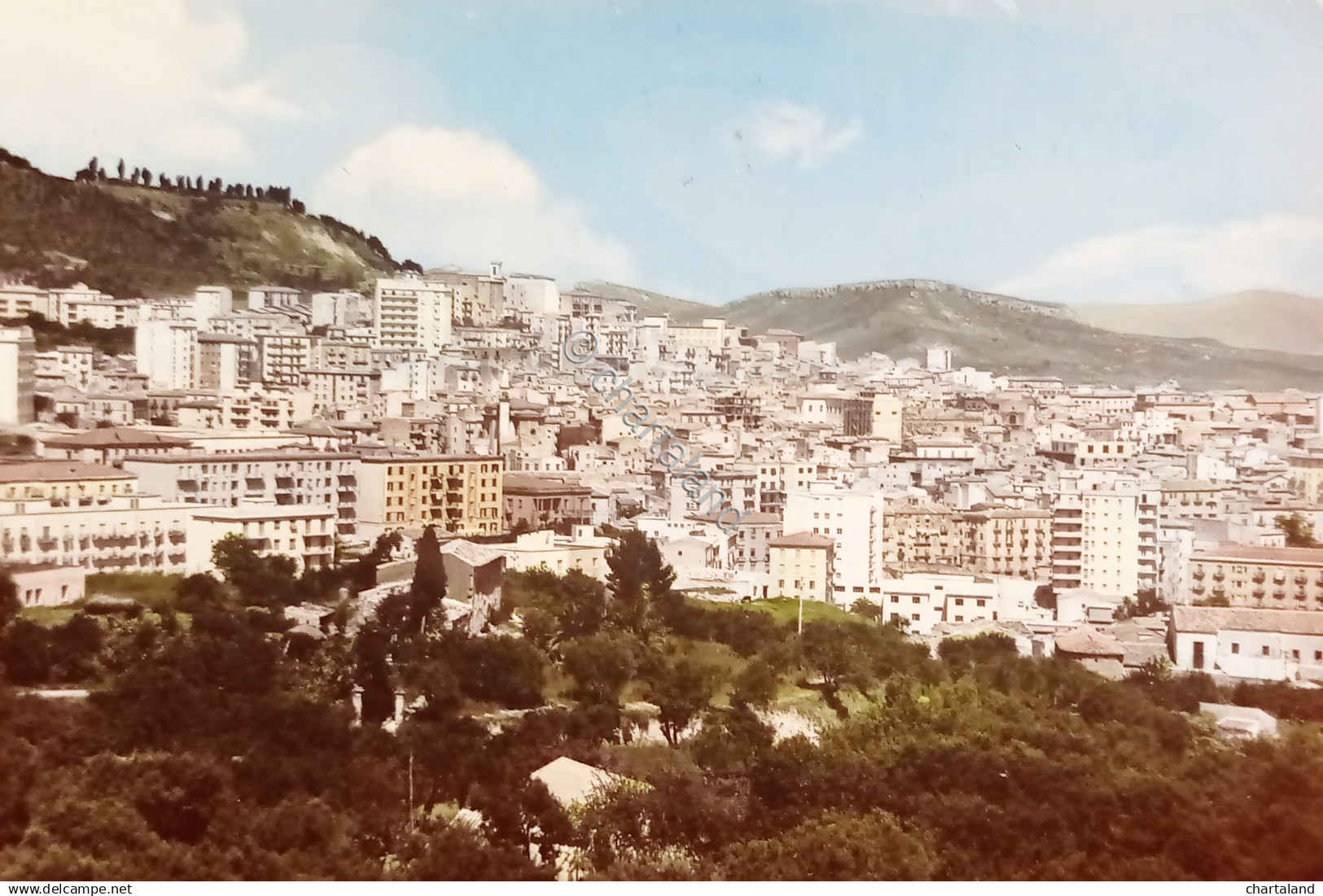 Cartolina - Caltanissetta - Panorama - 1965