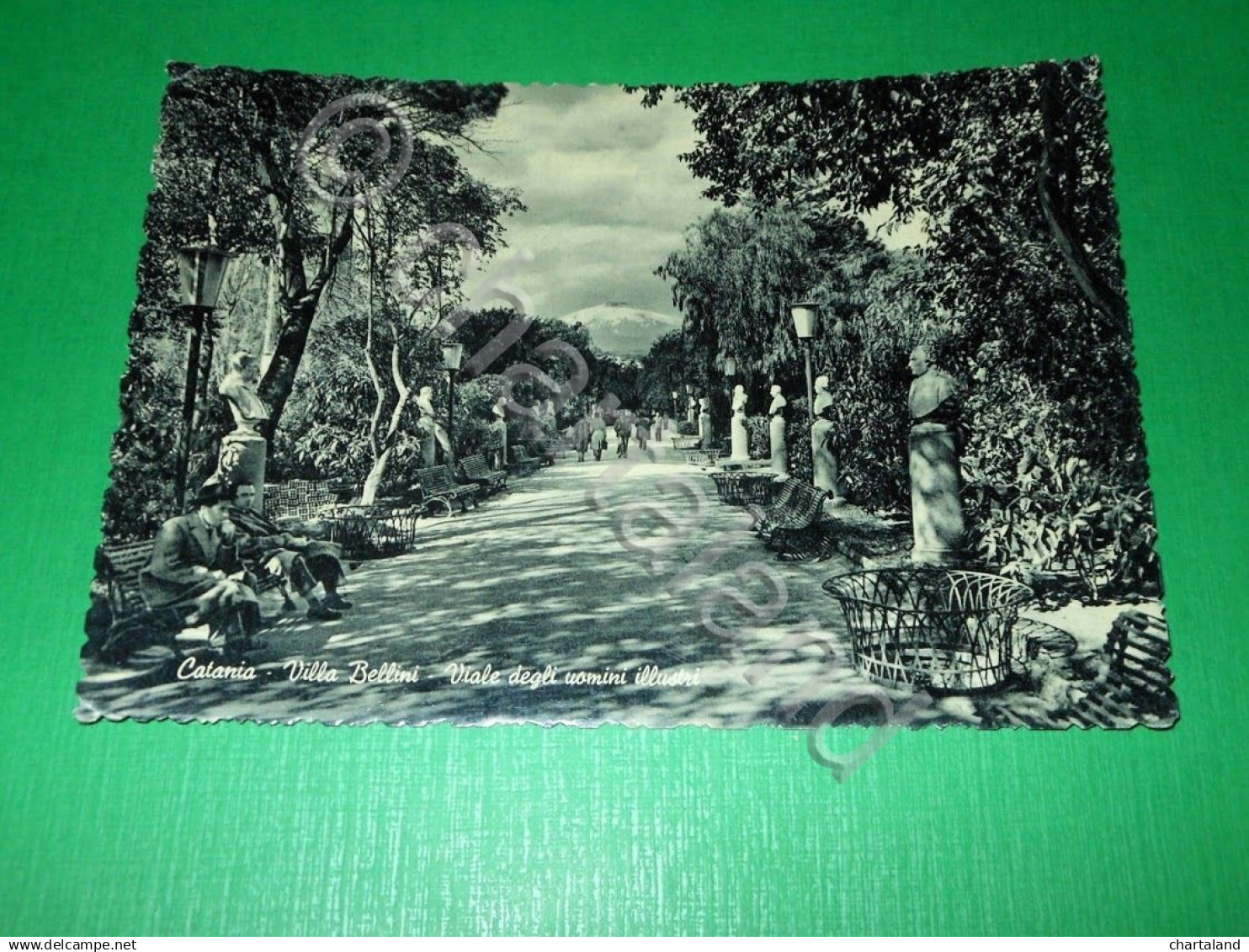 Cartolina Catania - Villa Bellini - Viale degli uomini illustri 1957