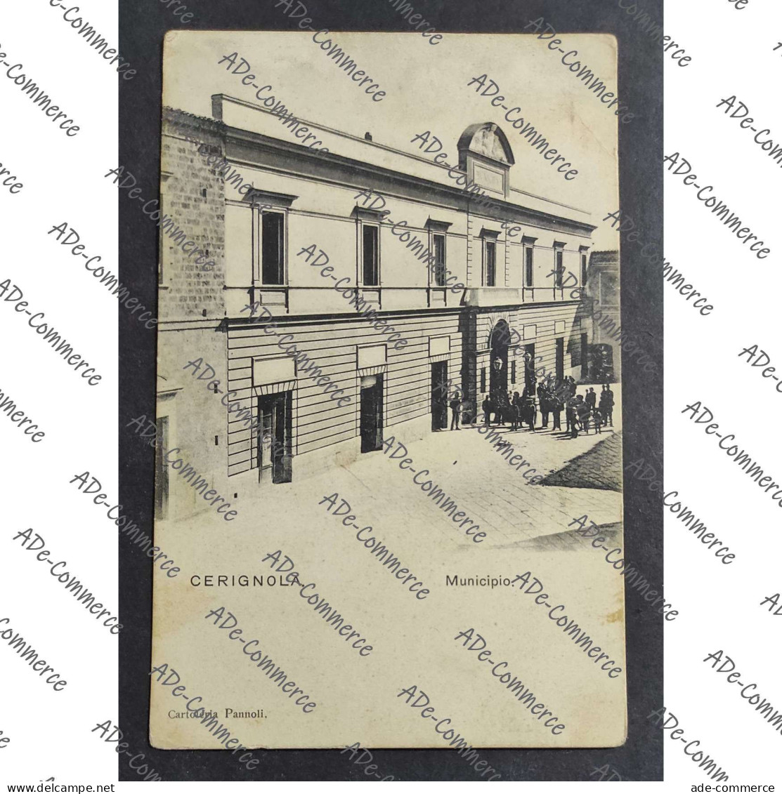 Cartolina Cerignola - Municipio