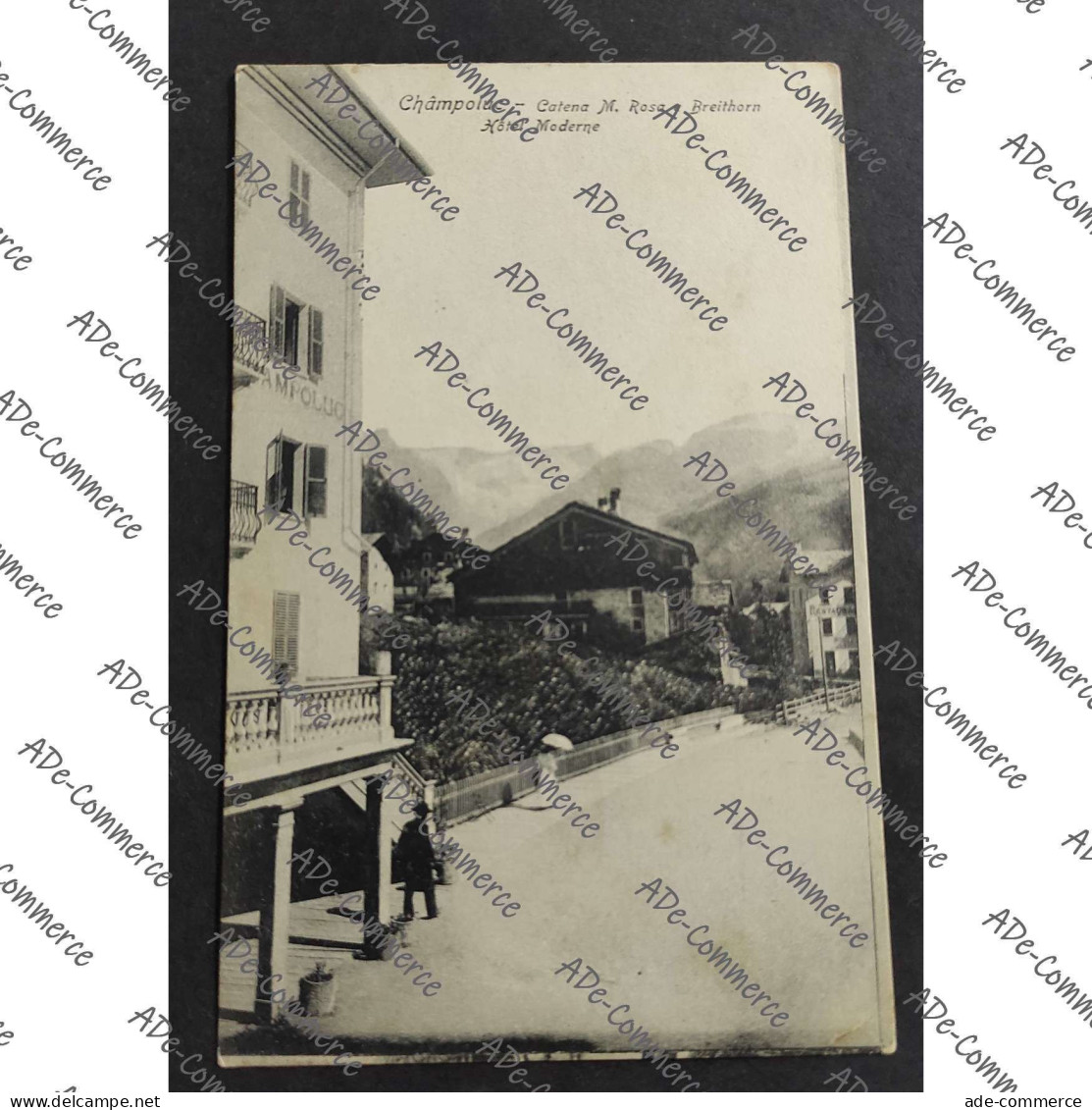 Cartolina Champoluc - Catena M. Rosa e Breithorn - Hotel Moderne