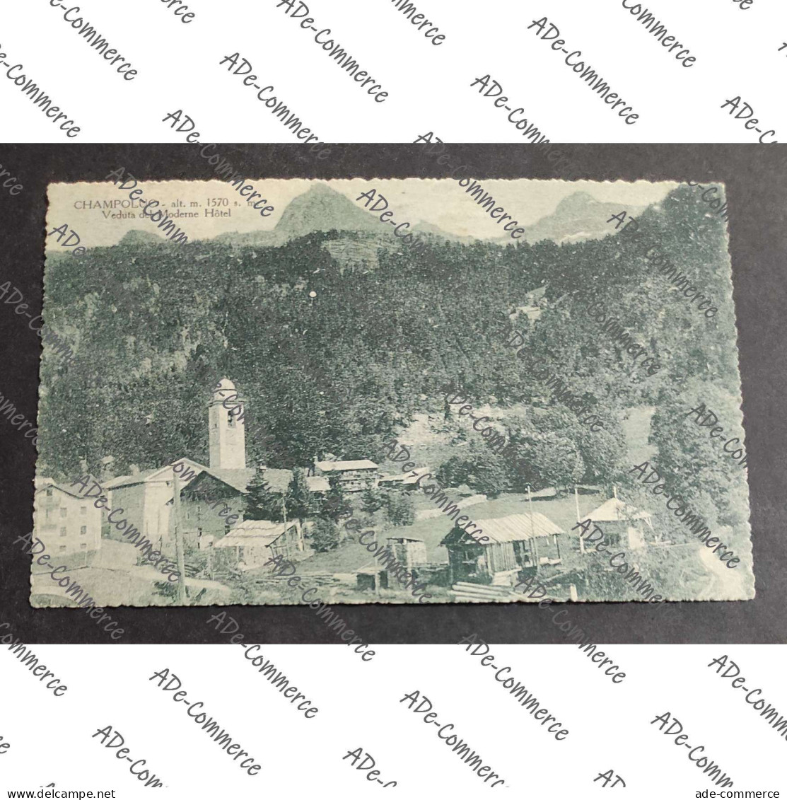 Cartolina Champoluc - Veduta del Moderne Hotel