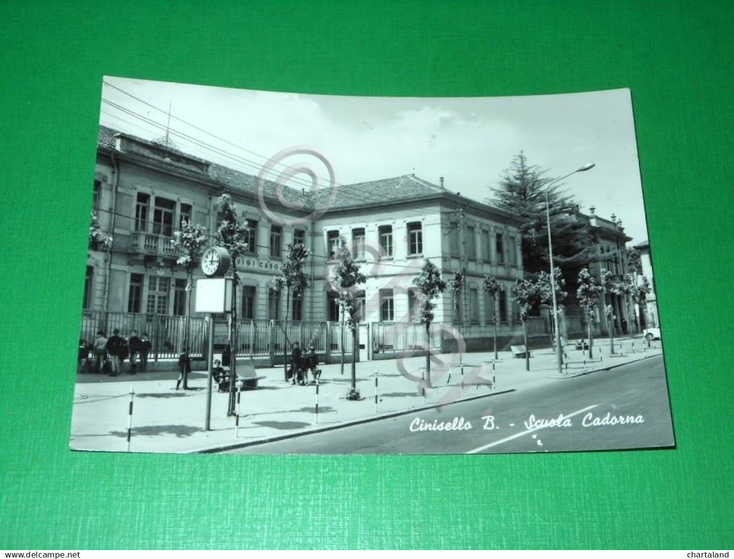 Cartolina Cinisello Balsamo - Scuola Cadorna 1967