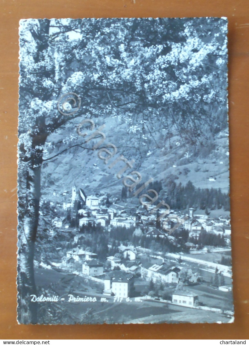 Cartolina Dolomiti - Primiero (Trentino Alto-Adige) - 1962