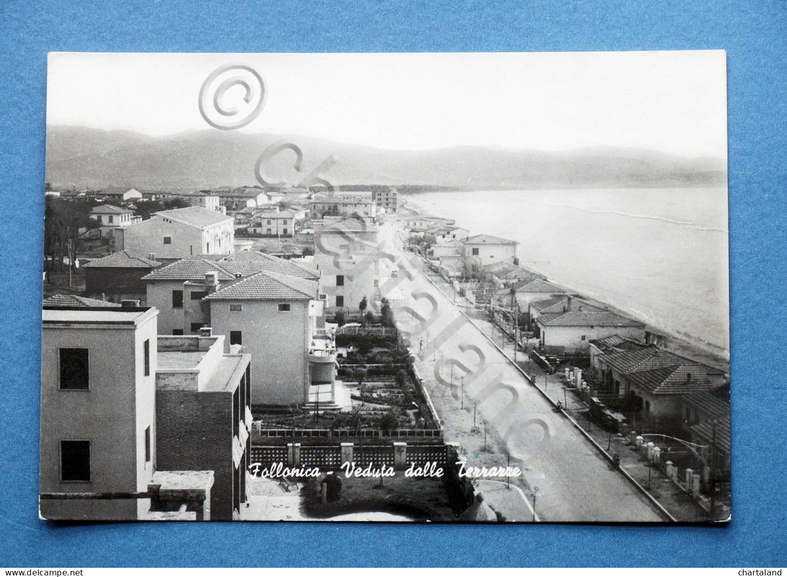 Cartolina Follonica - Veduta dalle Terrazze - 1957