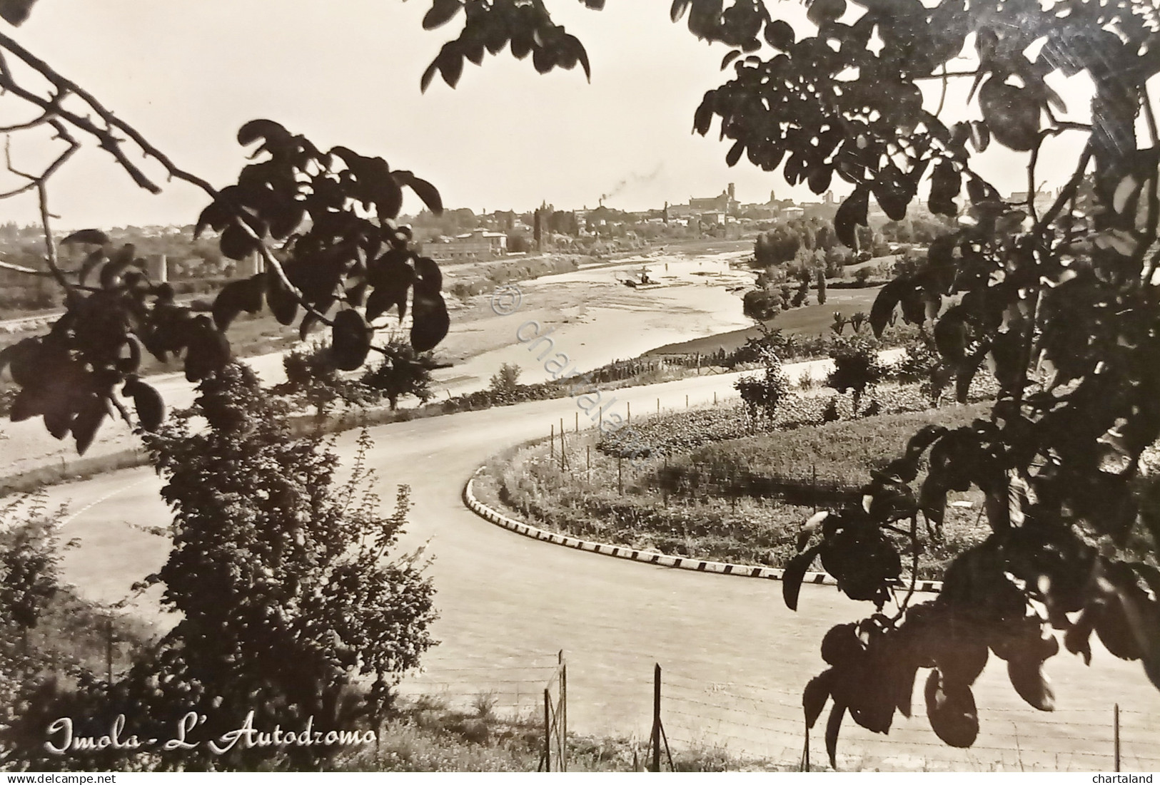 Cartolina - Imola ( Bologna ) - L'Autodromo - 1955