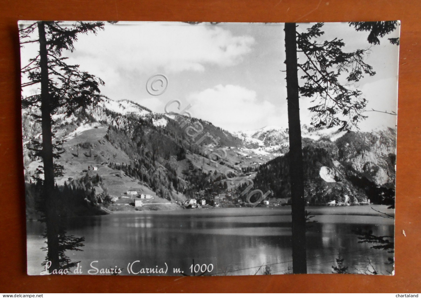 Cartolina Lago di Sauris (Carnia) (Friuli Venezia Giulia) m. 1000 - 1954 ca.
