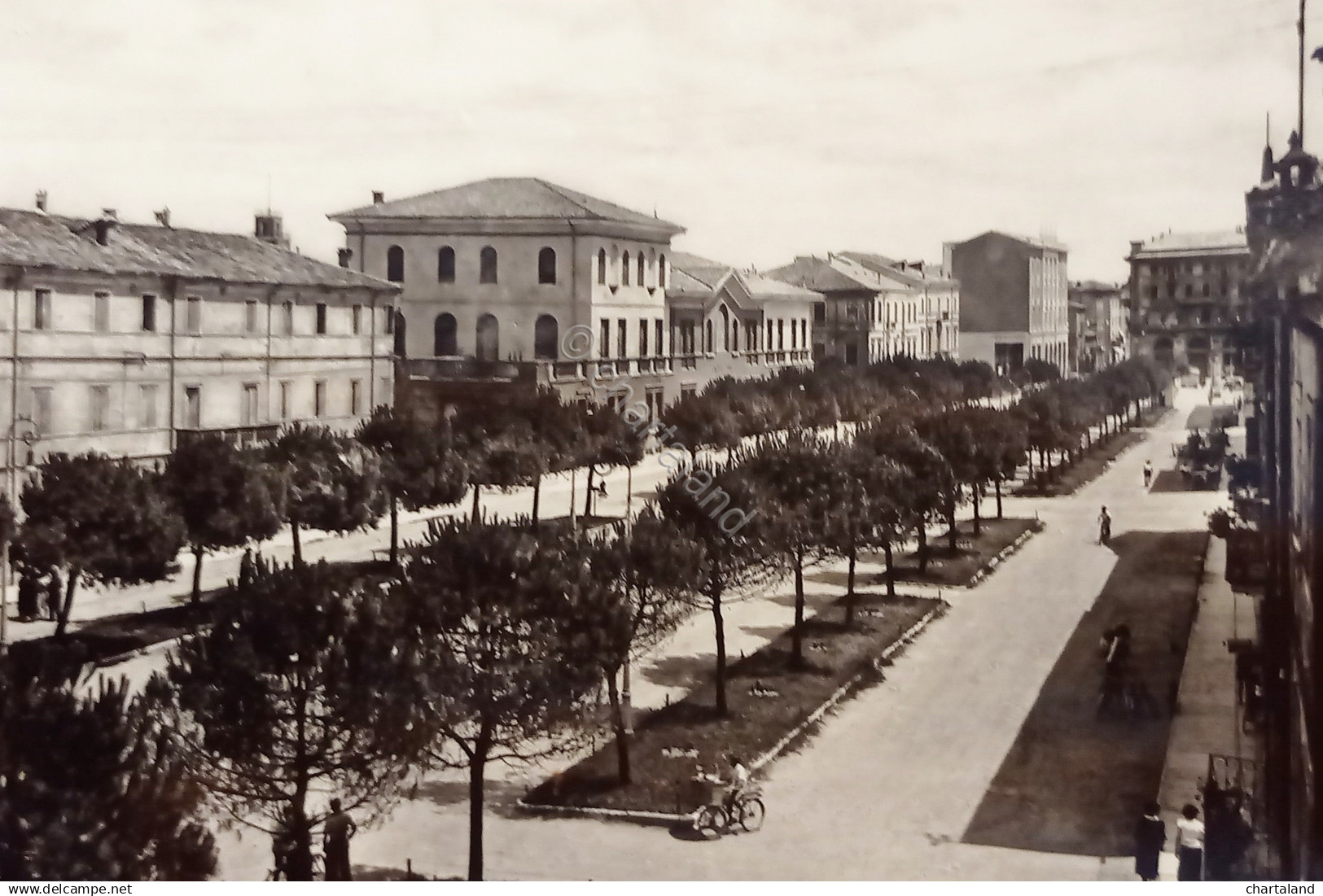 Cartolina - Legnano - Corso della Vittoria - 1956