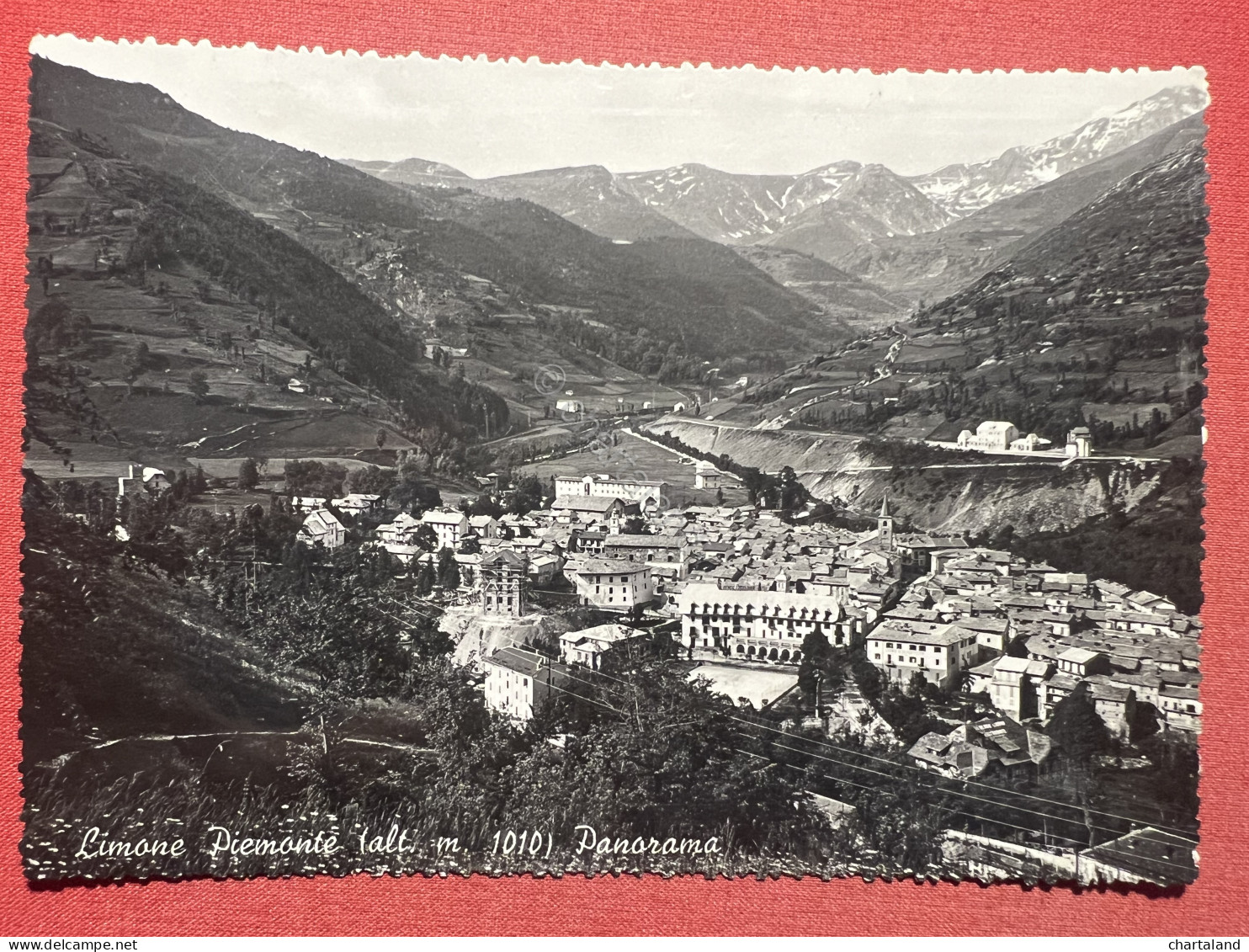 Cartolina - Limone Piemonte ( Cuneo ) - Pamorama - 1951