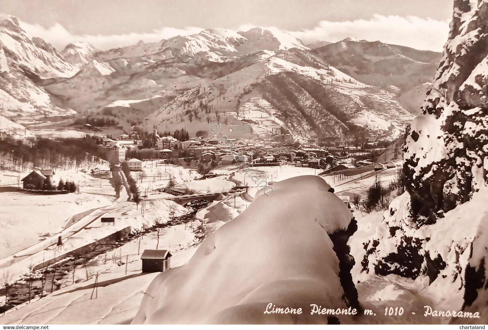 Cartolina - Limone Piemonte - Panorama - 1955