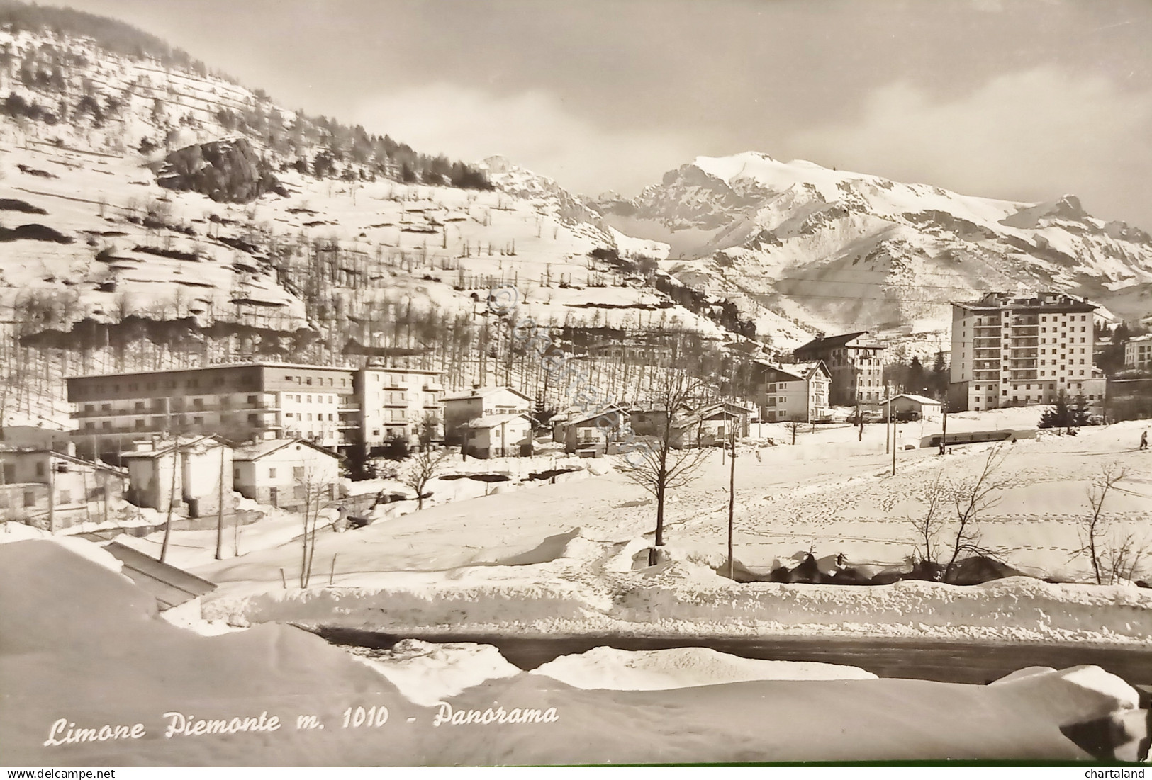 Cartolina - Limone Piemonte - Panorama - 1962