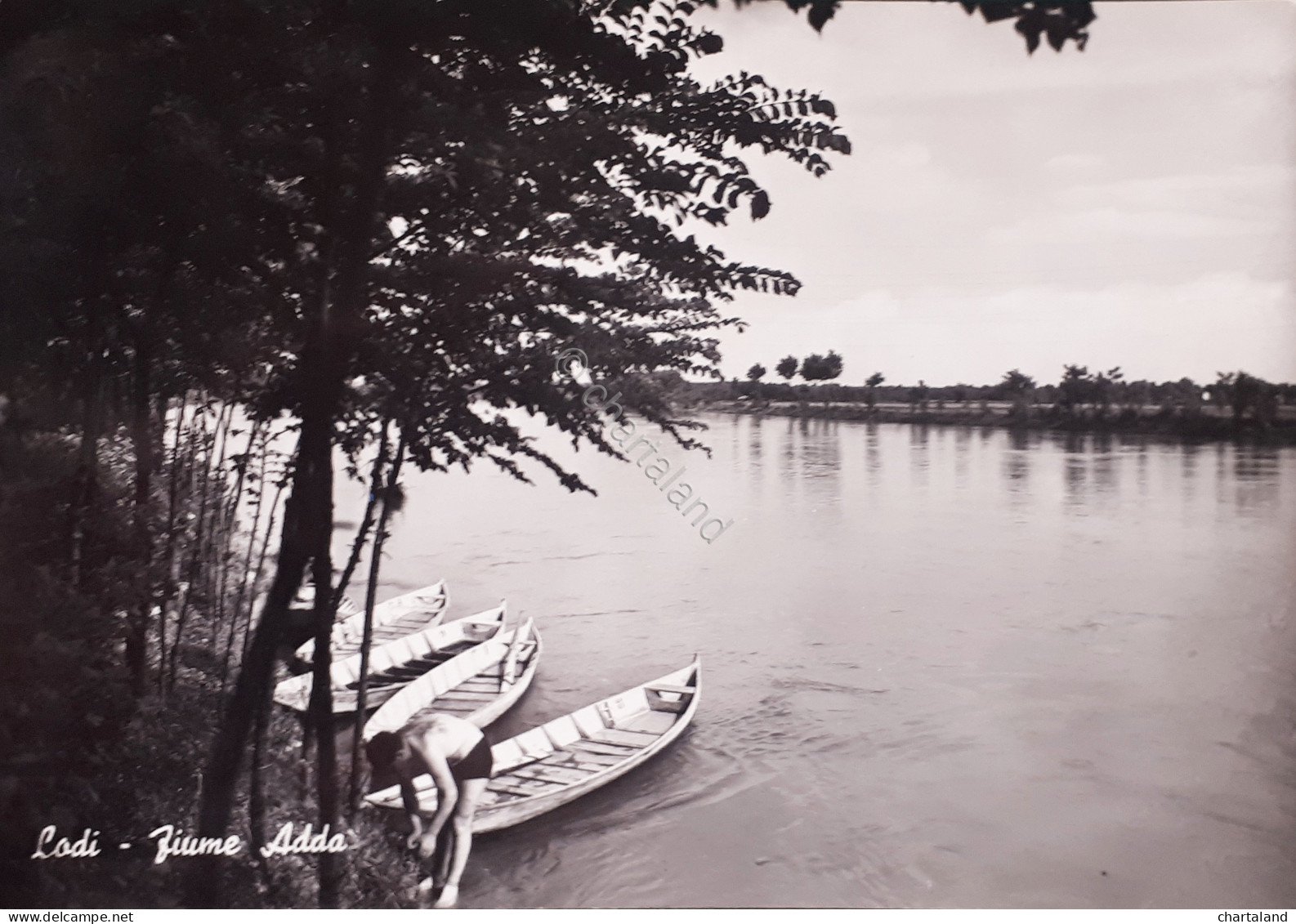 Cartolina - Lodi - Fiume Adda - 1955