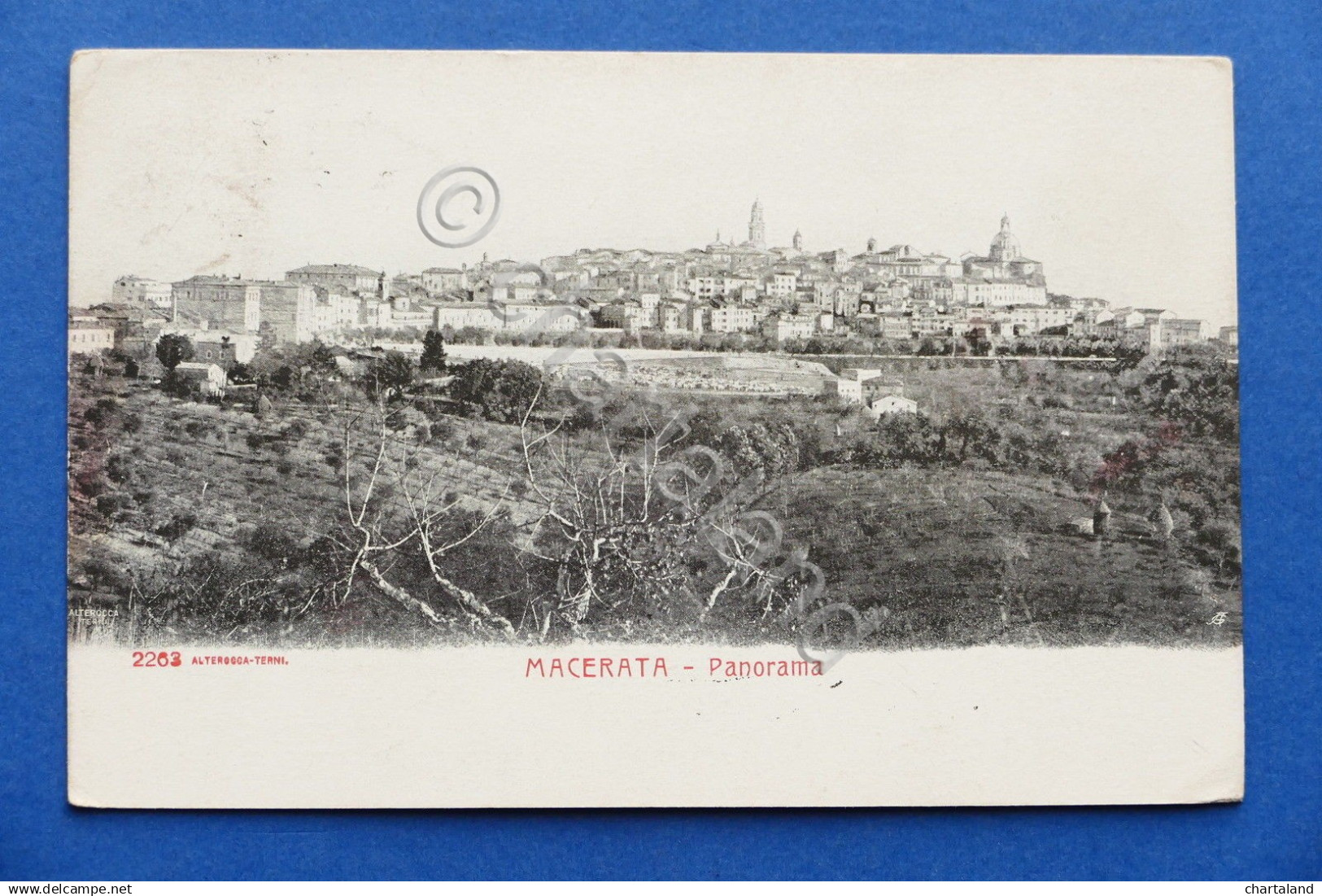 Cartolina Macerata - Panorama - 1903.