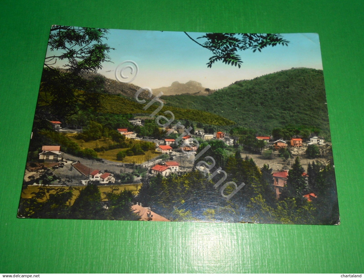 Cartolina Magreglio - Le Villette del Paraguai 1963