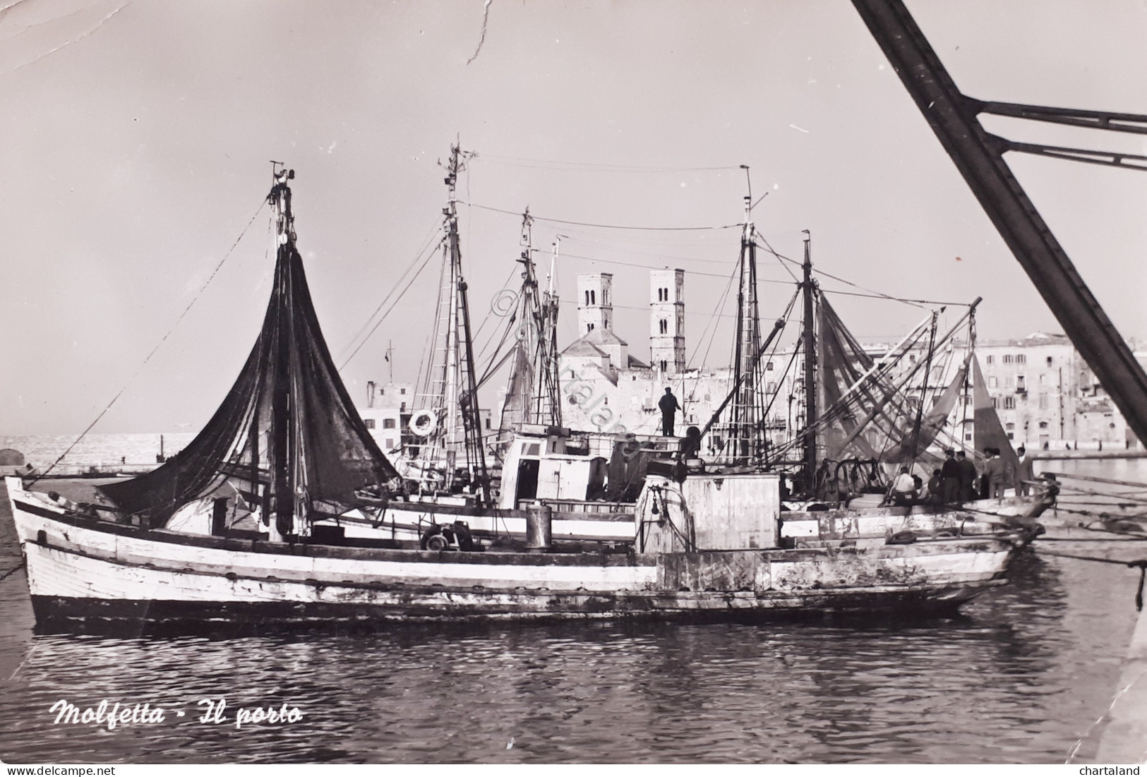 Cartolina - Molfetta - Il Porto - 1965