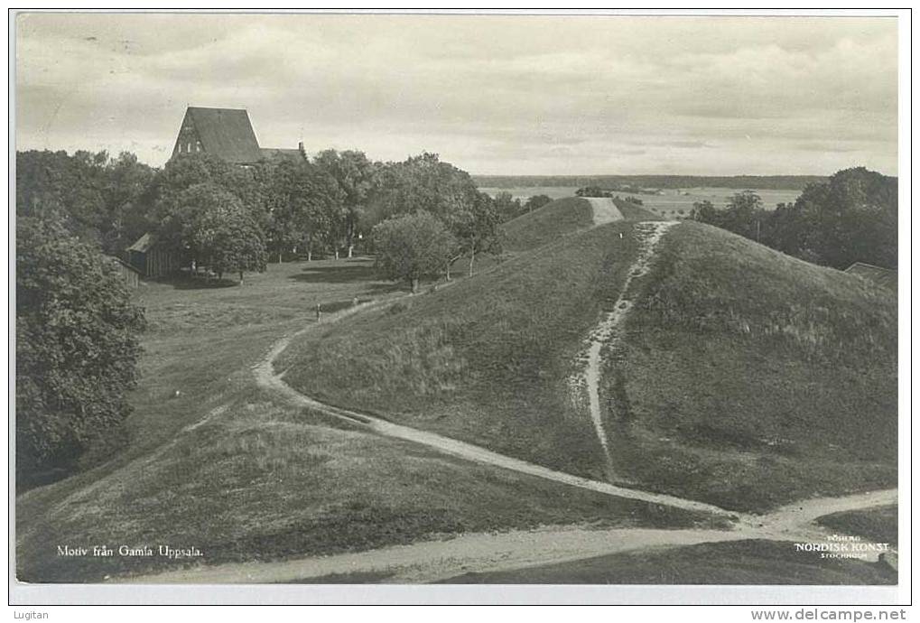 Cartolina - MOTIV FRAN GAMLA UPPSALA - PANORAMA - SVEZIA - SWEDEN
