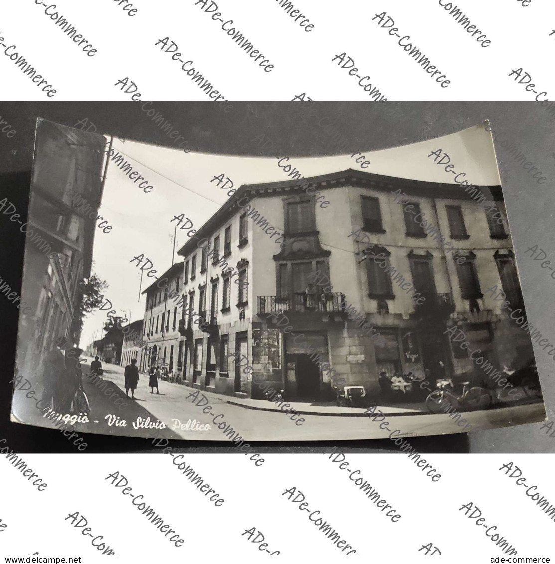 Cartolina Muggiò - Via Silvio Pellico
