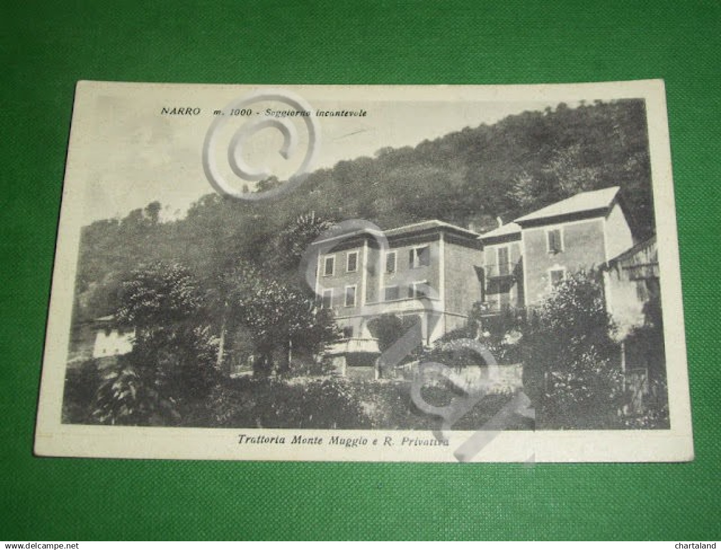 Cartolina Narro ( Lecco ) - Trattoria Monte Muggio e R. Privativa 1930 ca