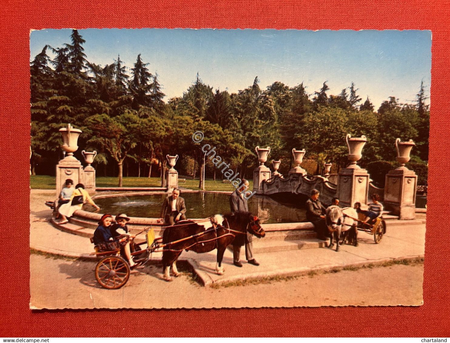 Cartolina - Novara - Parco dei Bambini - 1966
