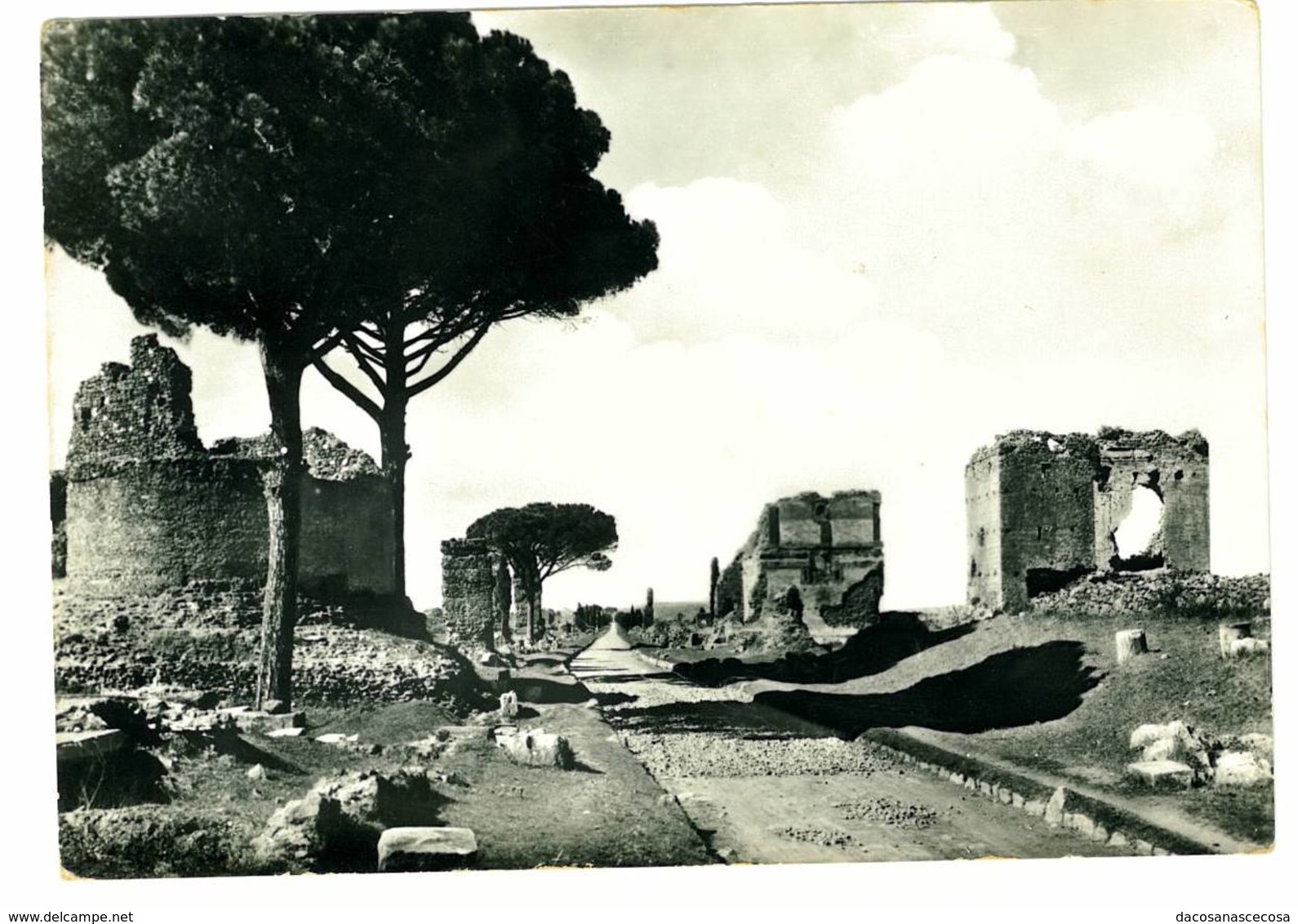 Cartolina Nuova - Roma Via Appia Antica