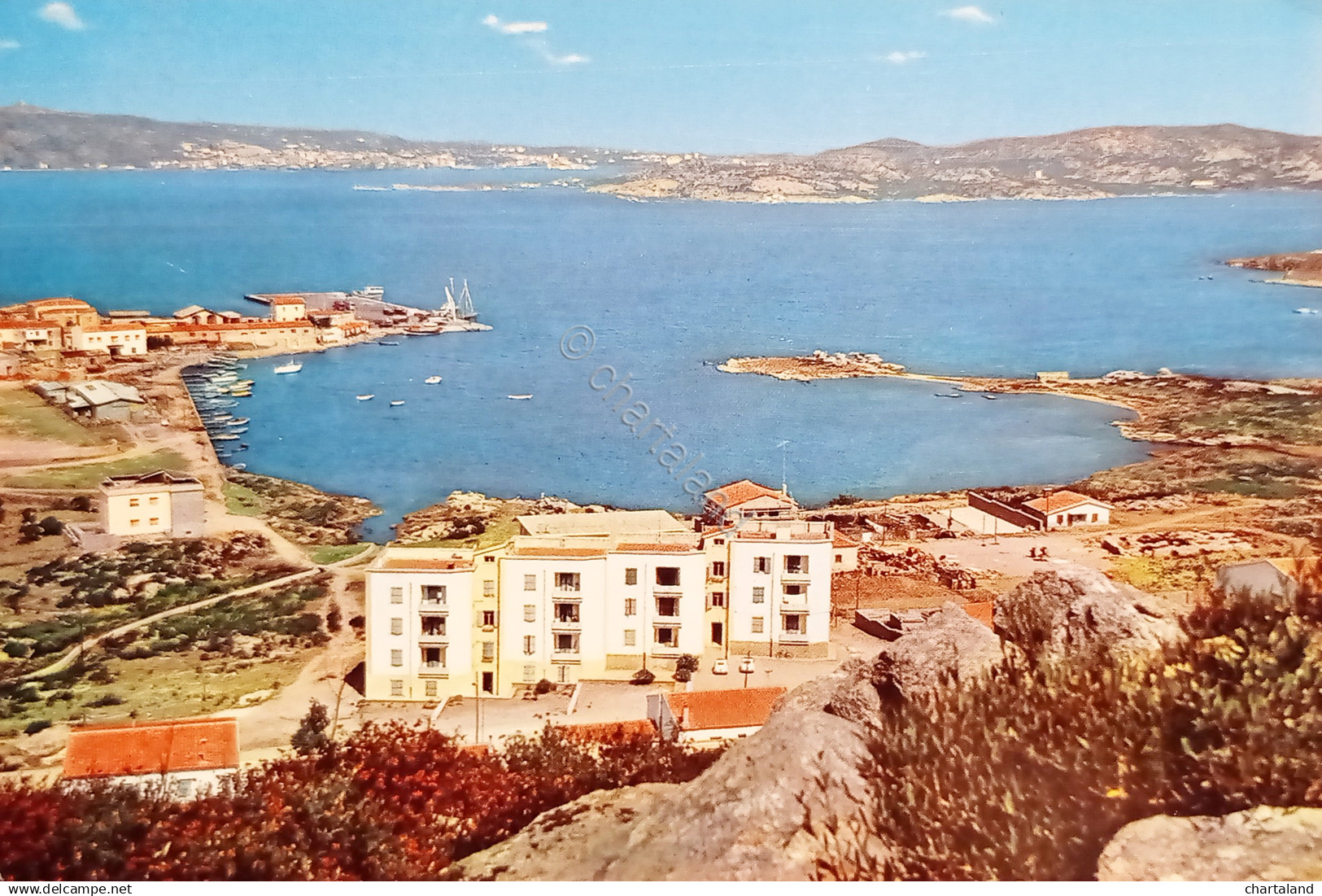 Cartolina - Palau ( Sassari ) - Panorama - 1969