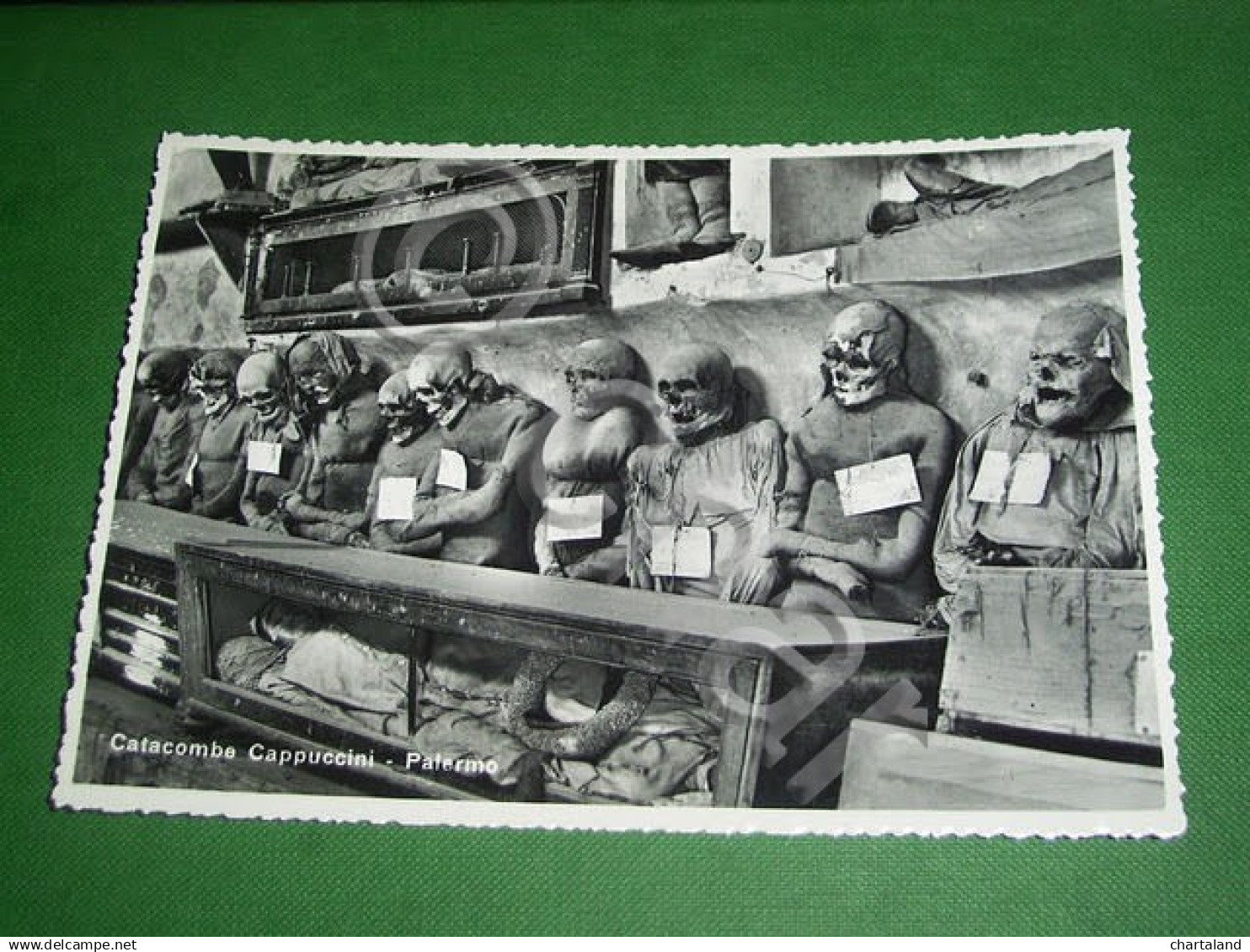 Cartolina Palermo - Catacomba Cappuccini - Sezione uomini 1945 ca