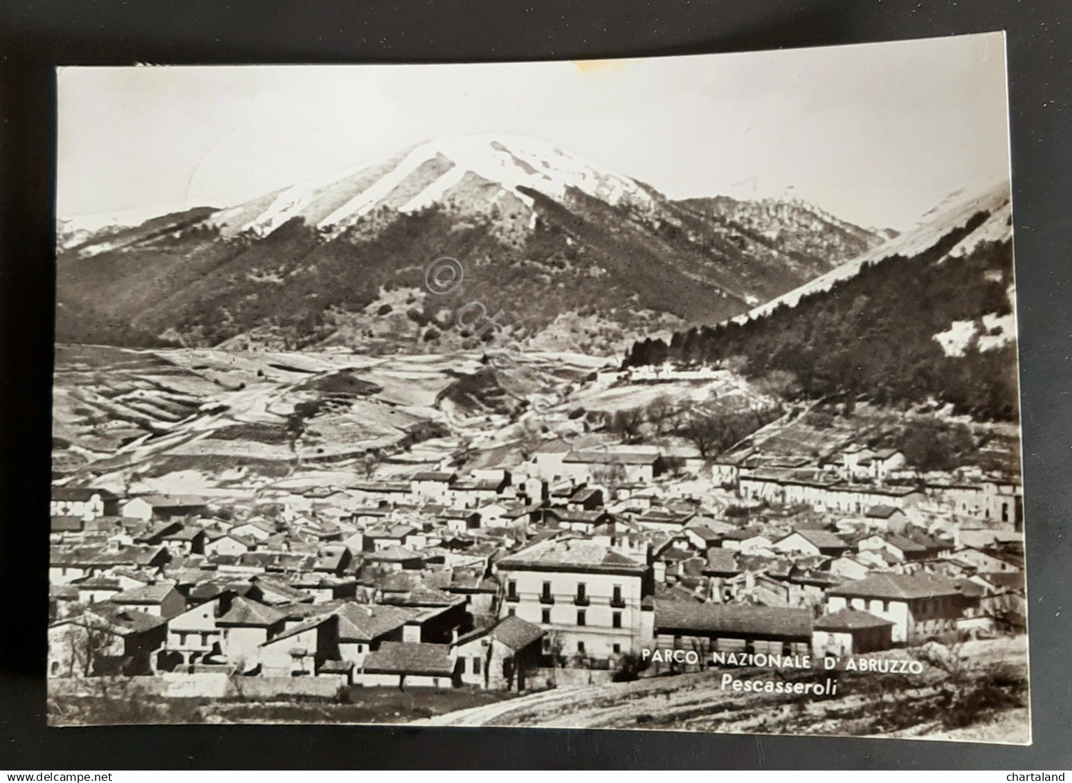 Cartolina Parco Nazionale D' Abruzzo - Pescasseroli - 1964