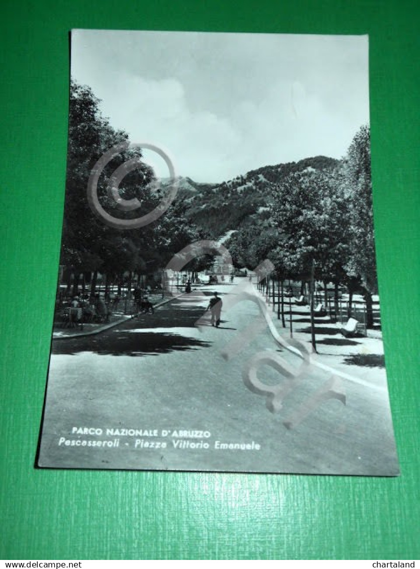 Cartolina Parco Nazionale d' Abruzzo - Pescasseroli - Piazza Vittorio Emanuele