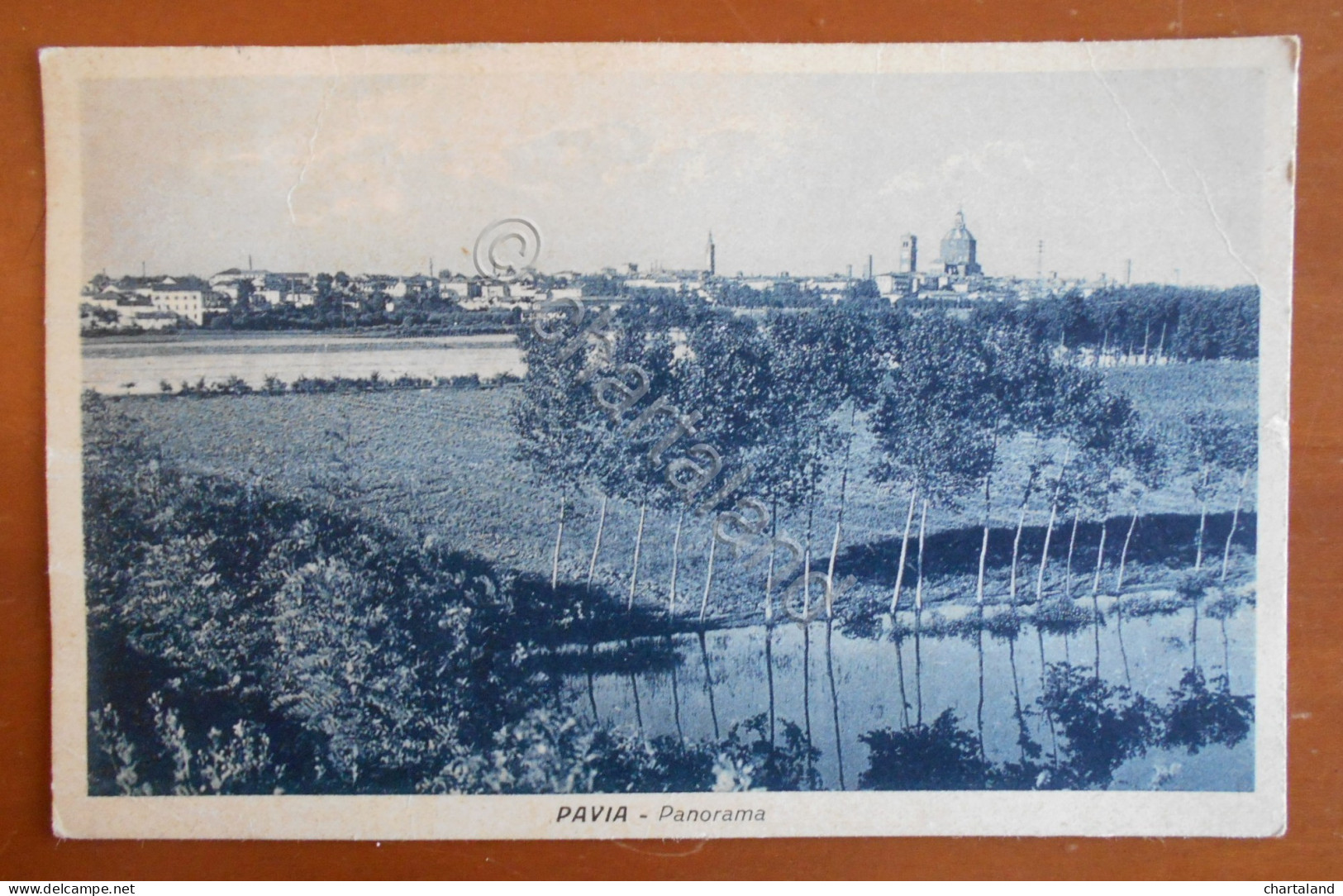 Cartolina Pavia - Panorama - 1931
