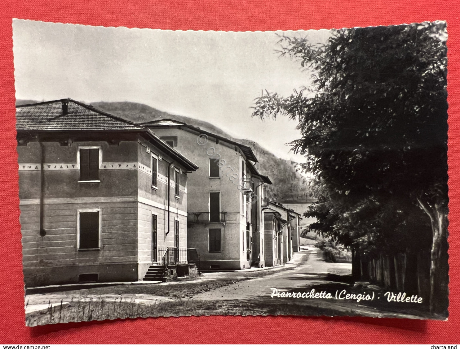 Cartolina - Pian Rocchetta (Cengio) - Villette - 1960 ca.