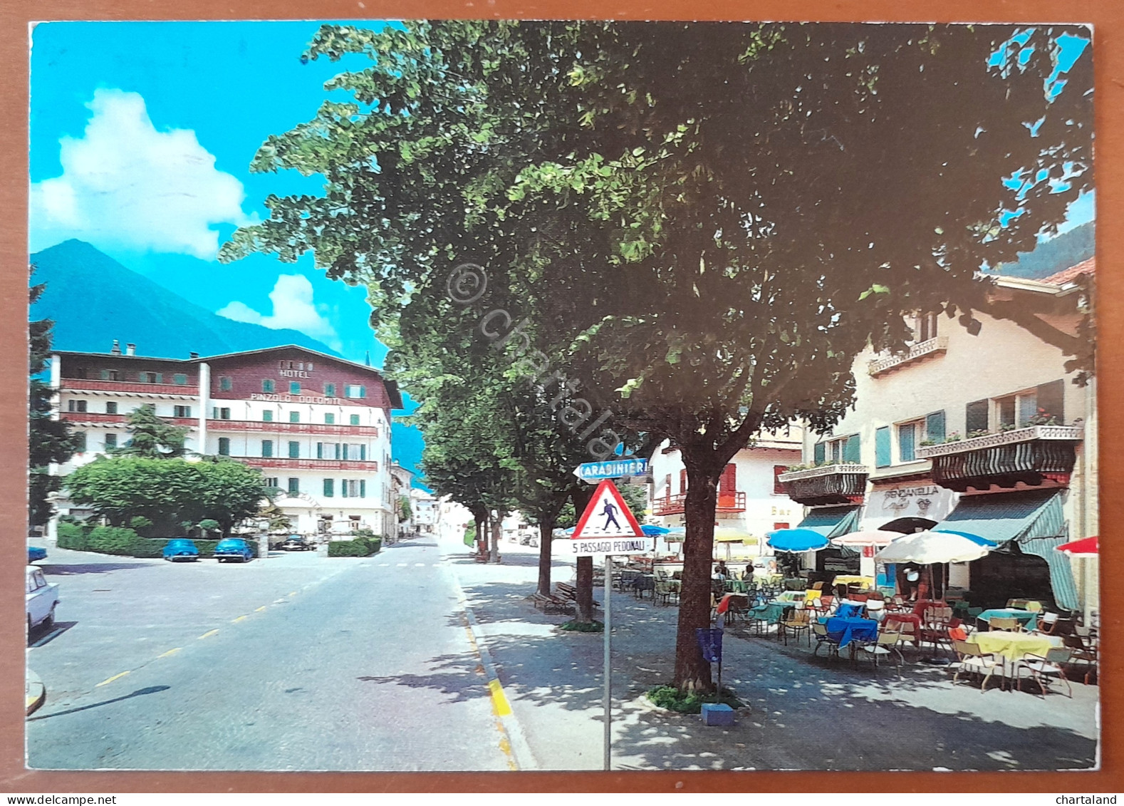 Cartolina Pinzolo (Trento) - Viale Trento - 1970