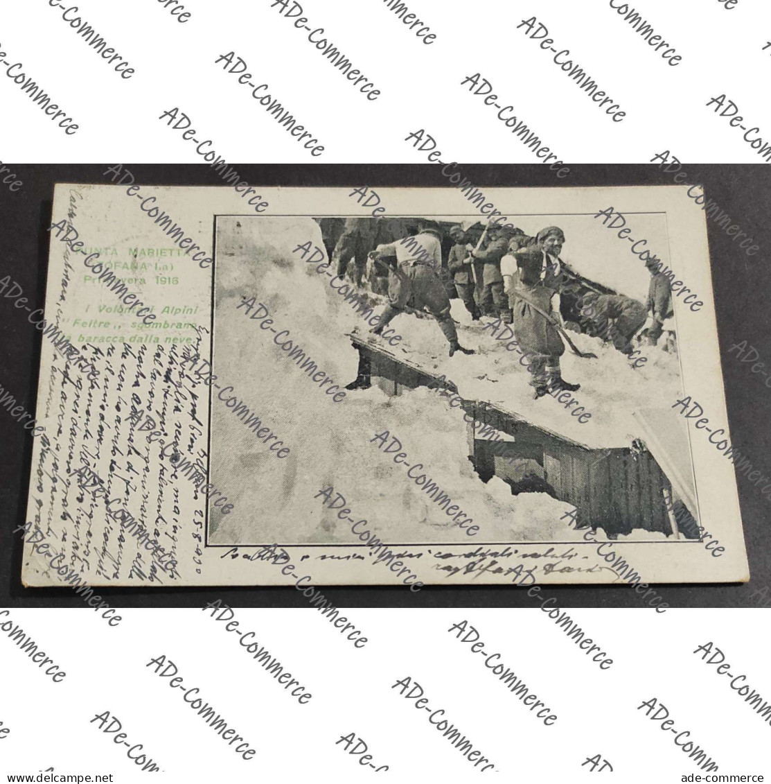 Cartolina Punta Marietta (Tofana) - Primavera