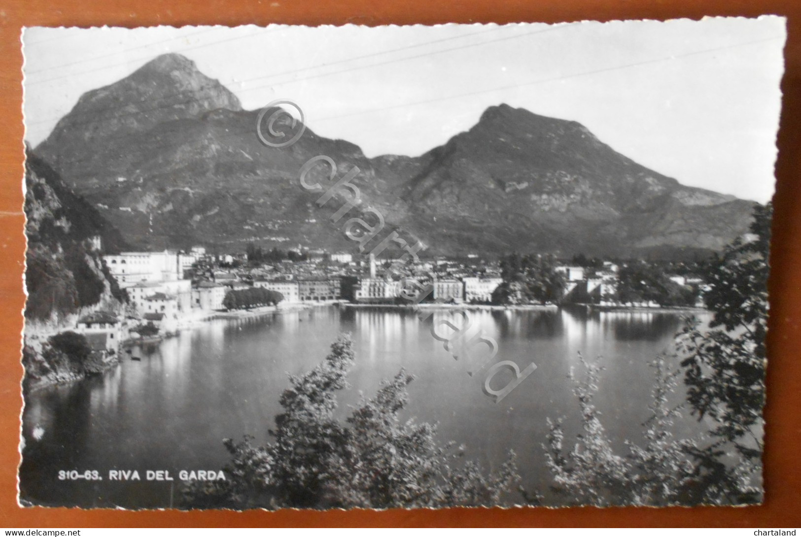 Cartolina Riva del Garda (Trentino Alto-Adige) - 1951