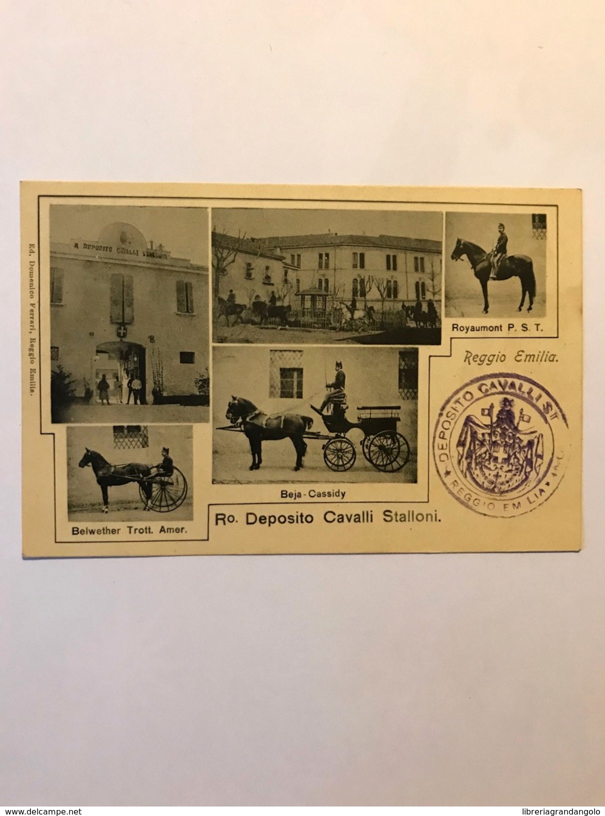 Cartolina Ro. Deposito Cavalli Stalloni Reggio Emilia Non Viaggiata
