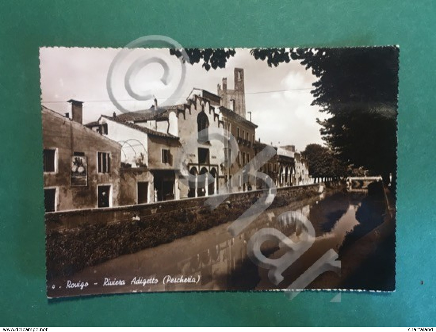 Cartolina Rovigo - Riviera Adriatica - Riviera Adriatica - Peschiera - 1951