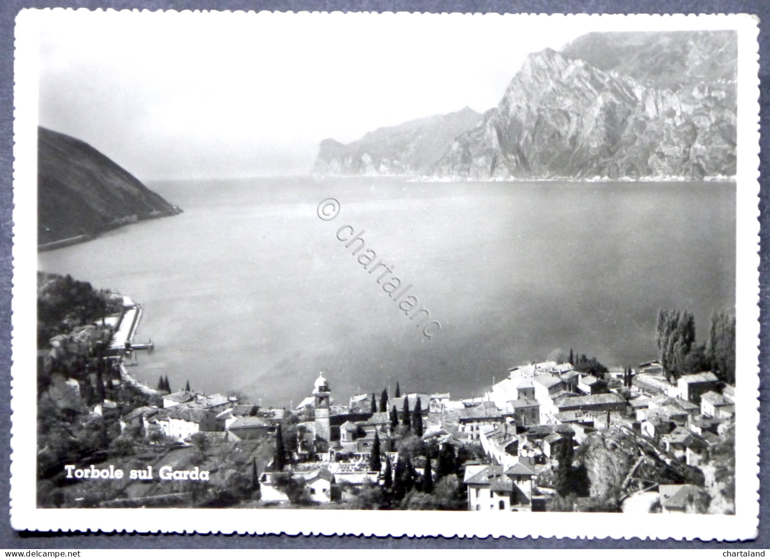 Cartolina Torbole sul Garda (Trentino Alto-Adige) - 1954