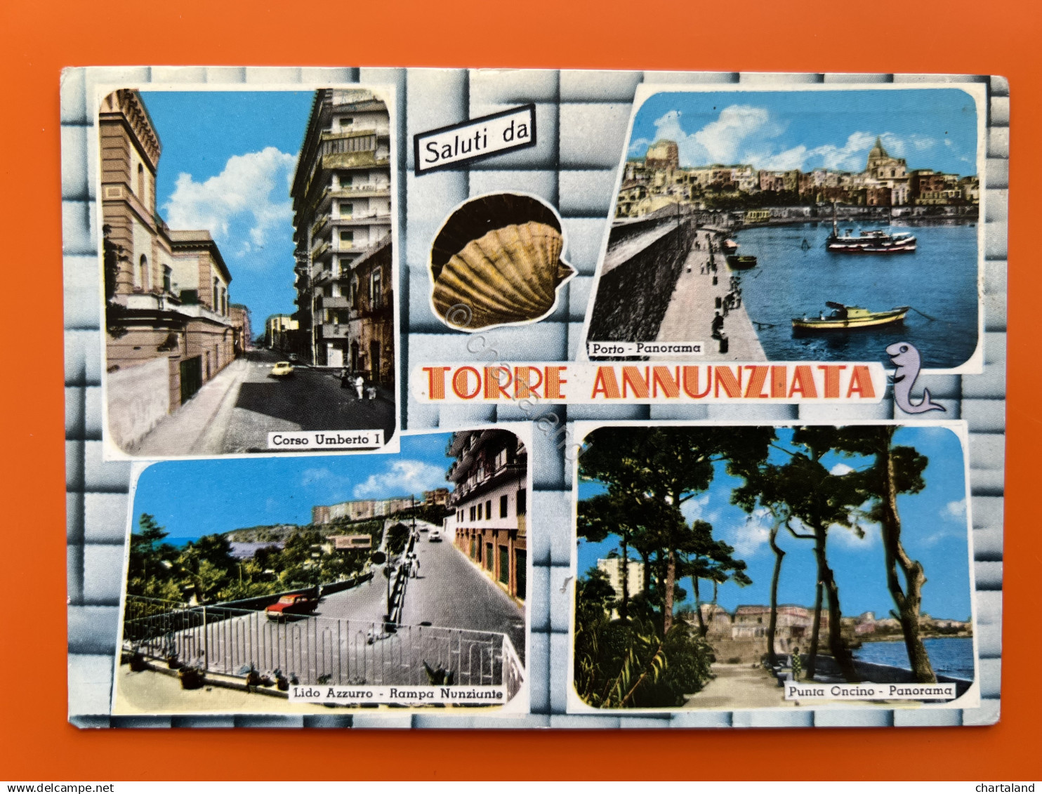 Cartolina - Torre Annunziata ( Napoli ) - Vedute diverse - 1975