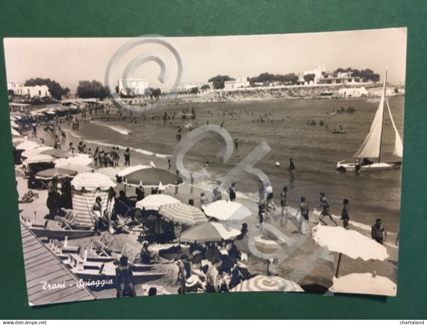 Cartolina Trani - Spiaggia - 1959